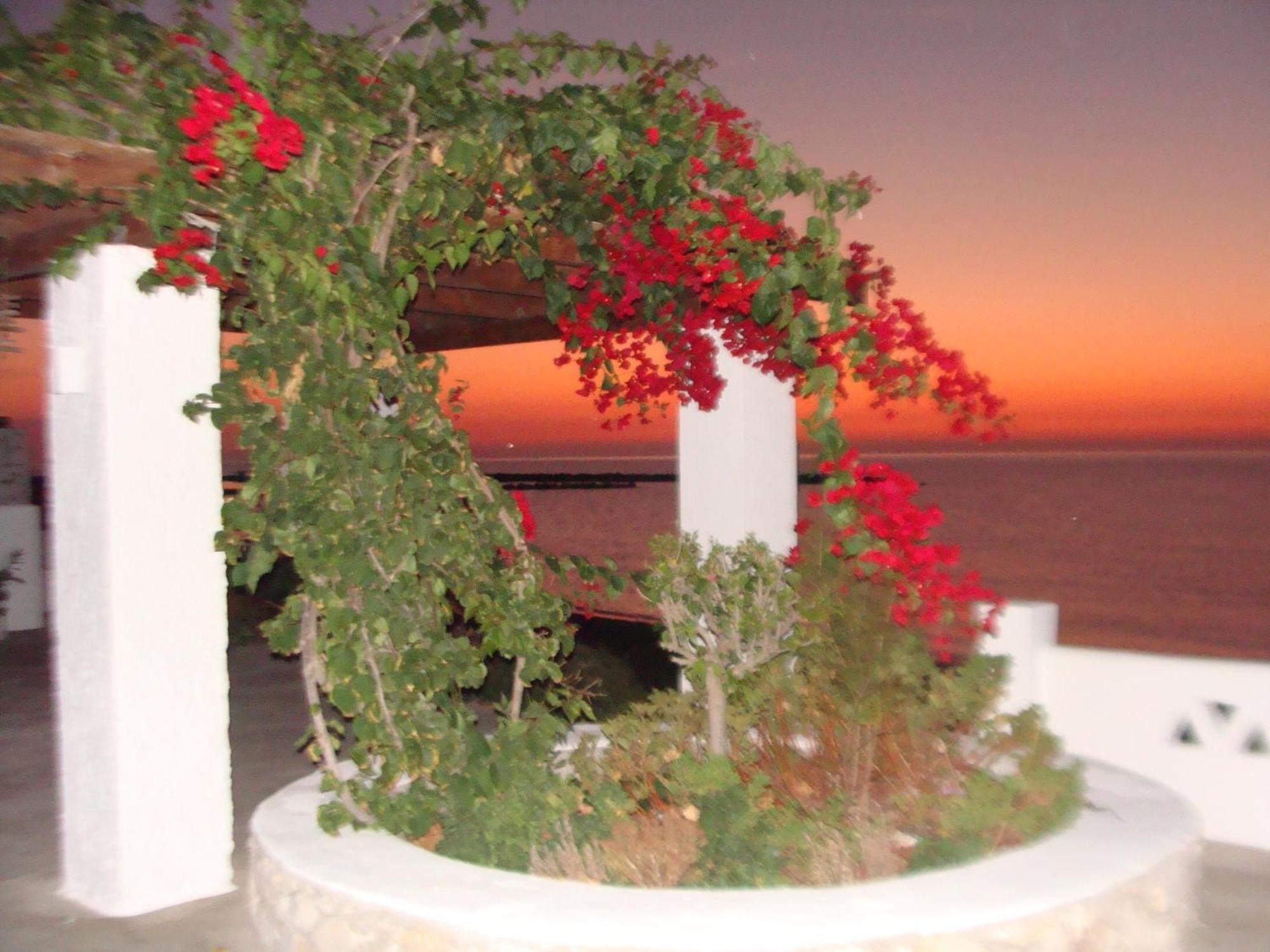 Ferienwohnung Παραθιν Αλοσ 2 Skyros Exterior foto